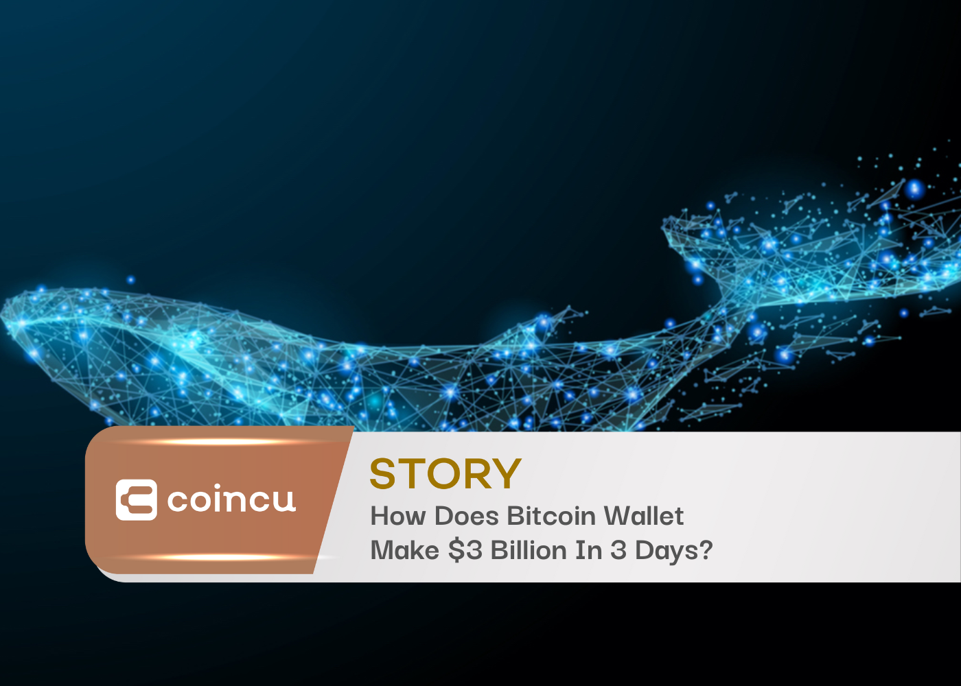 How Does Bitcoin Wallet Make $3 Billion In 3 Days?