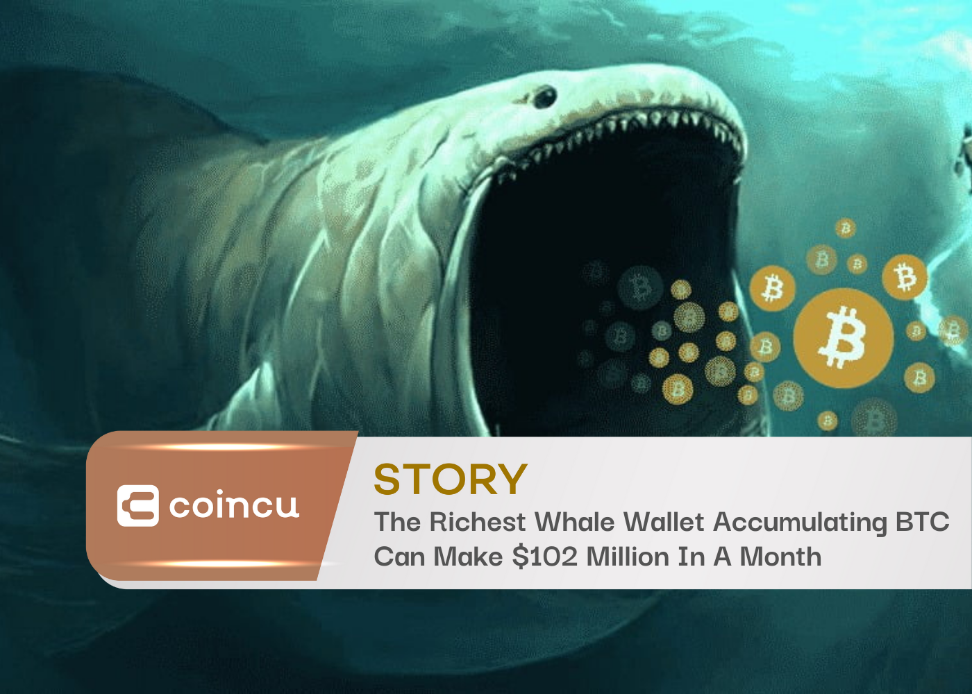 The Richest Whale Wallet Accumulating BTC Can Make $102 Million In A Month