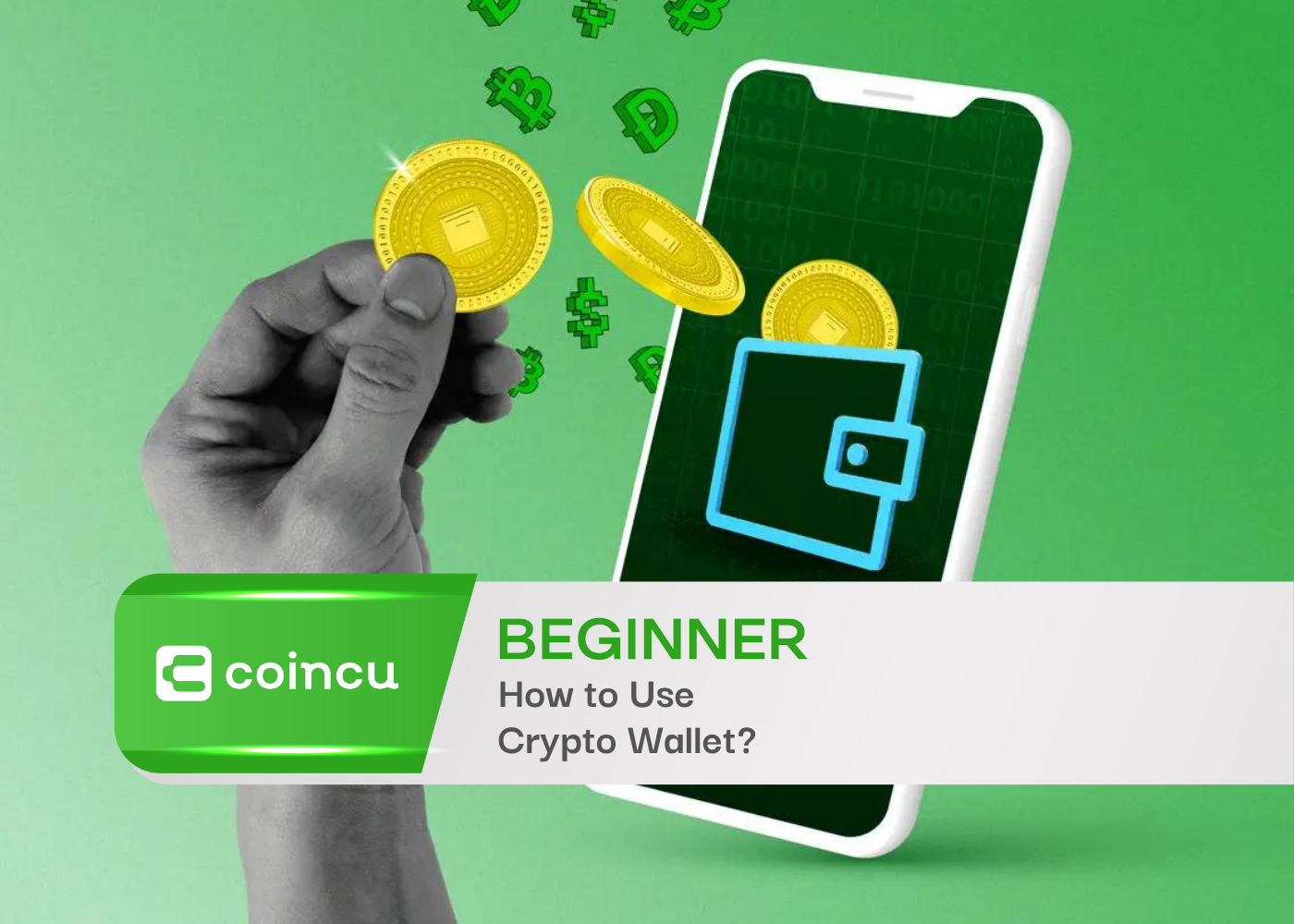How to Use a Crypto Wallet in 2026: A Practical Beginner Guide