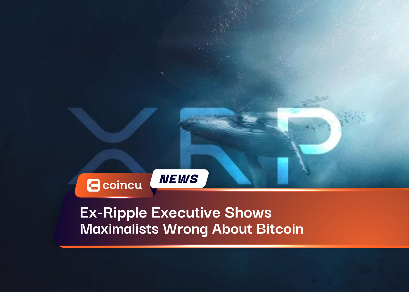 Ex-Ripple Executive Shows Maximalists Wrong About Bitcoin