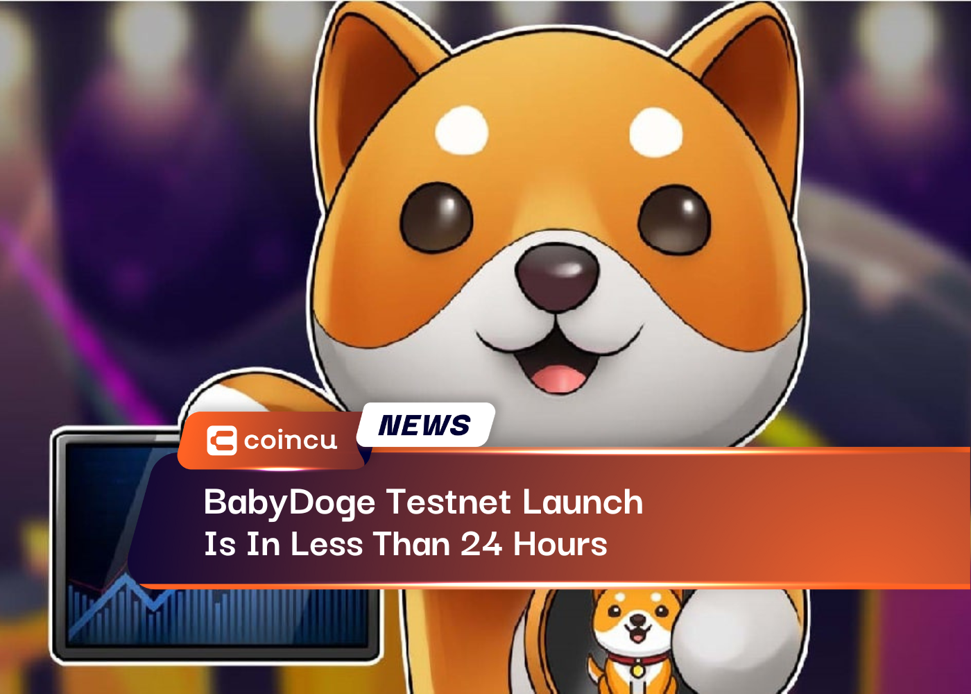 BabyDoge Testnet Launch Is In Less Than 24 Hours