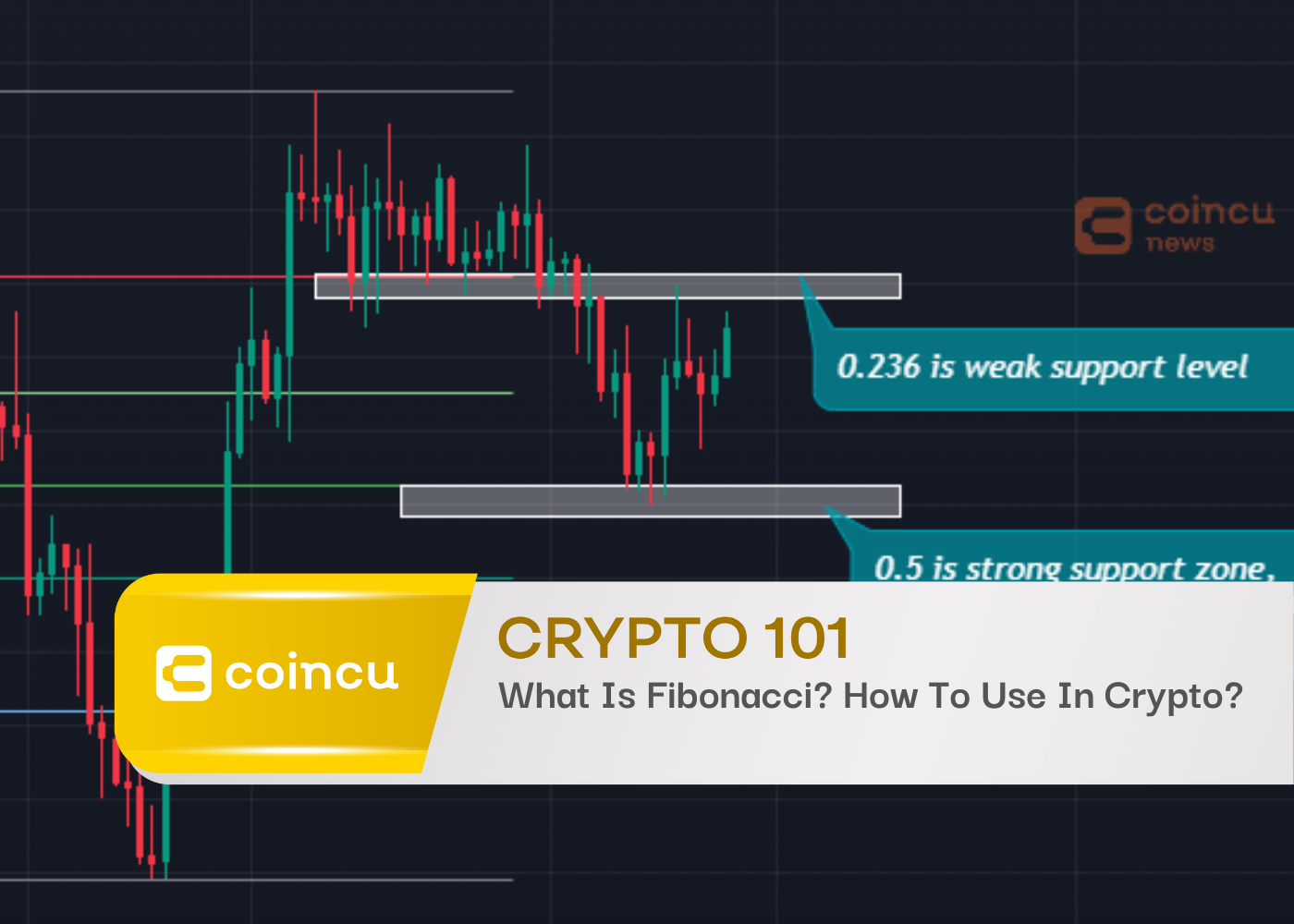 Trading For Beginners 101: What is Fibonacci And How To Use In Crypto? (Part 1)