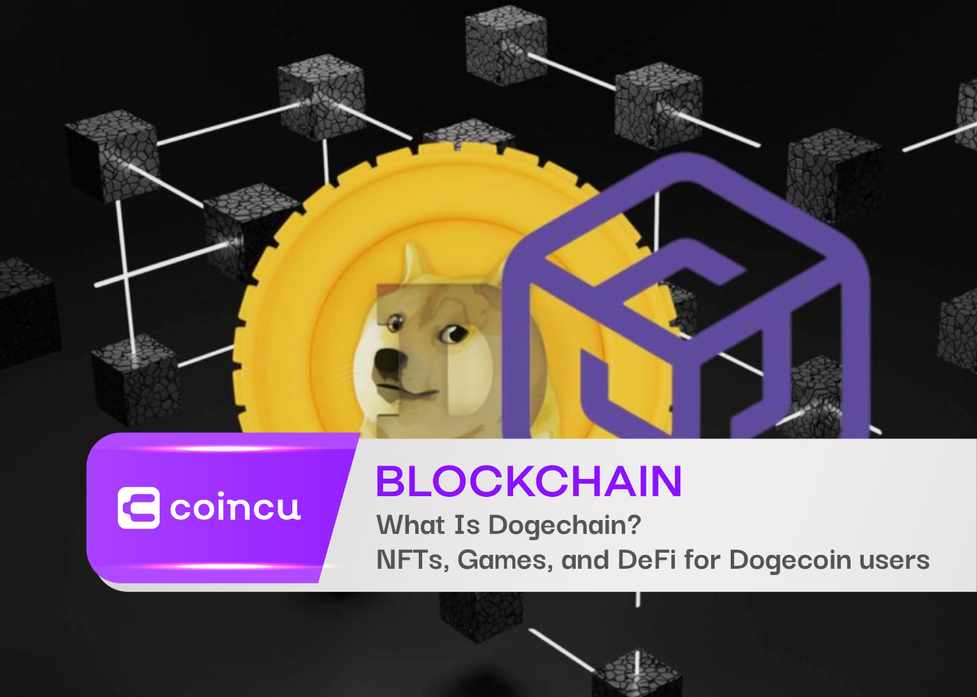 What Is Dogechain? | NFTs, Games, and DeFi for Dogecoin users