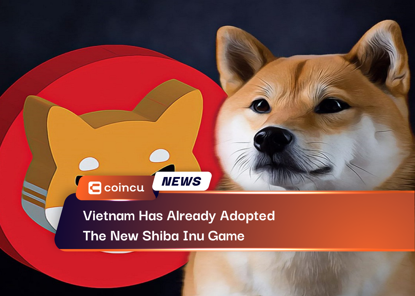 Vietnam Has Already Adopted The New Shiba Inu Game