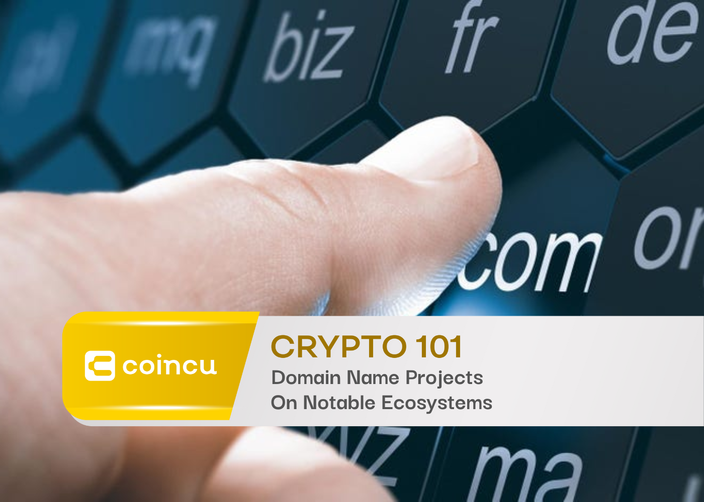 Domain Name Projects On Notable Ecosystems