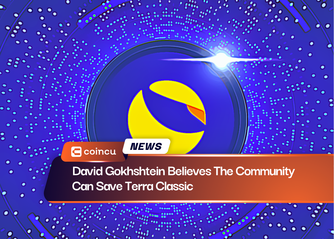 David Gokhshtein Believes The Community Can Save Terra Classic