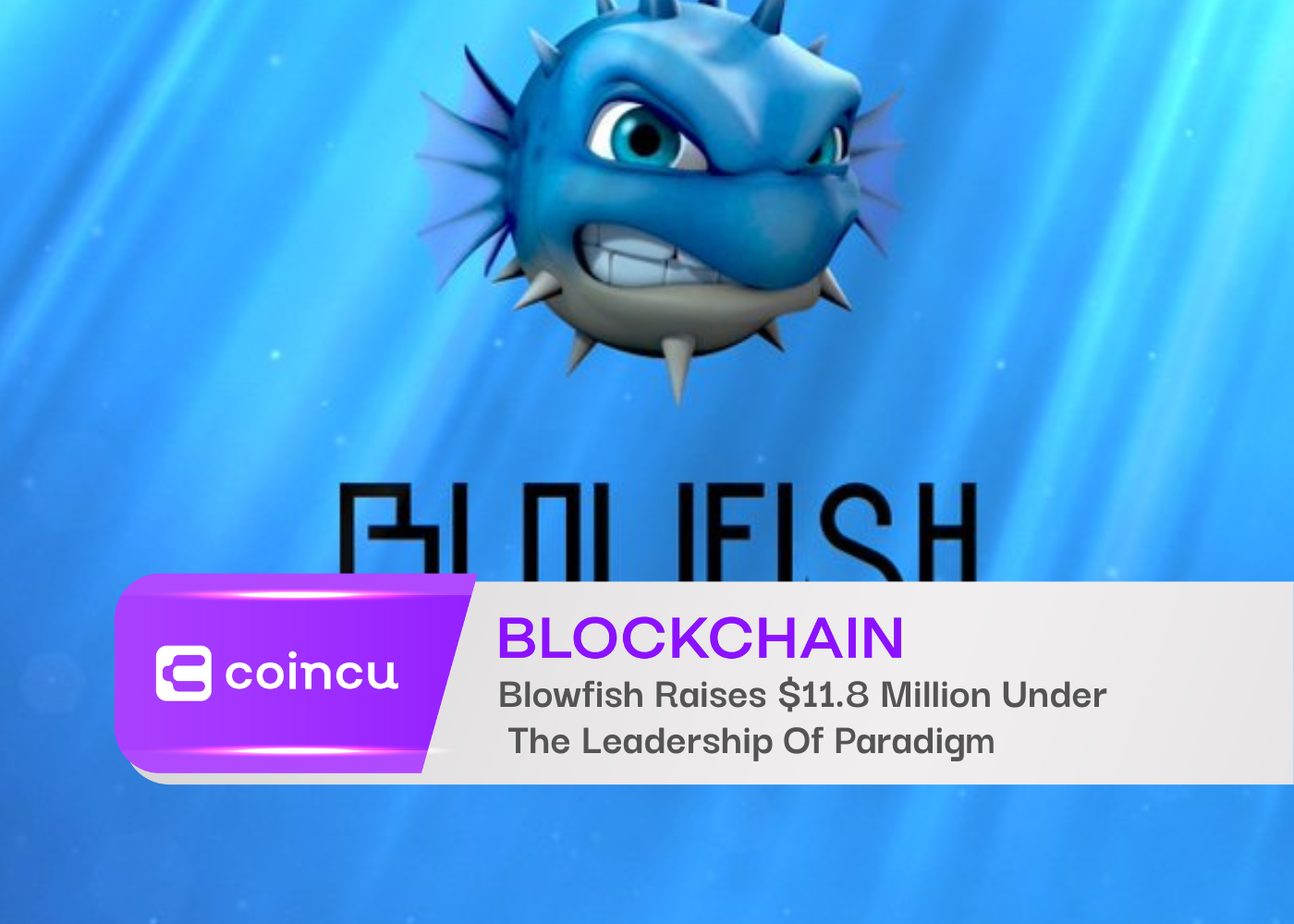 Blowfish Raises $11.8 Million Under The Leadership Of Paradigm