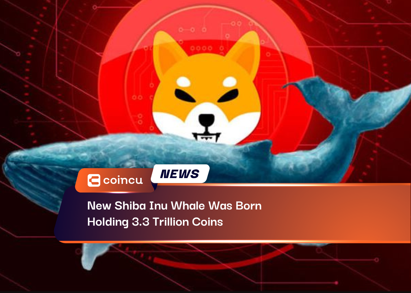 New Shiba Inu Whale Was Born, Holding 3.3 Trillion Coins