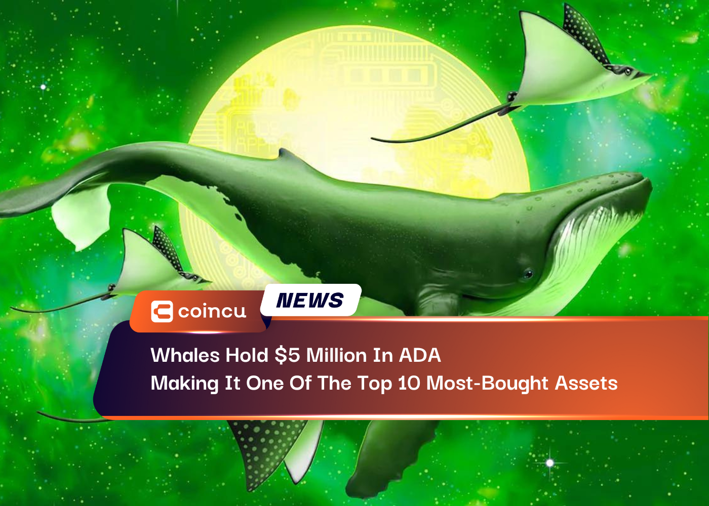 Whales Hold $5 Million In ADA, Making It One Of The Top 10 Most-Bought Assets