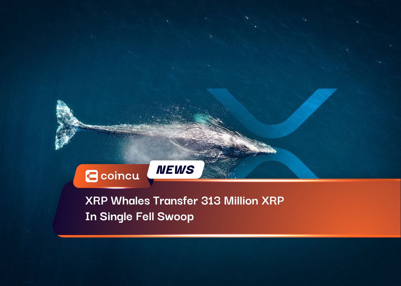 XRP Whales Transfer 313 Million XRP In Single Fell Swoop