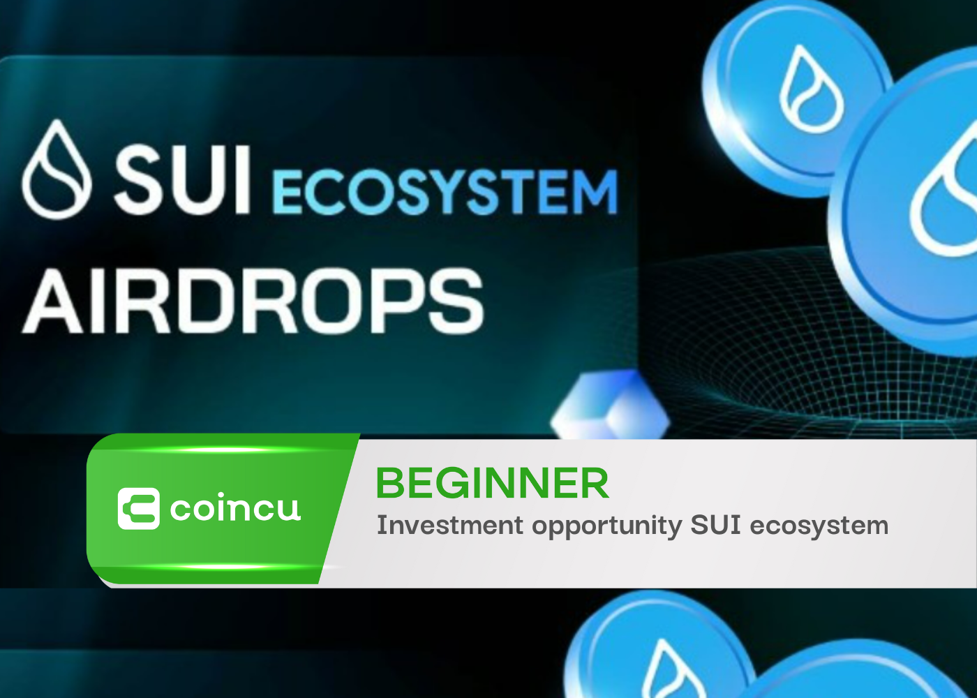 Investment opportunity SUI ecosystem