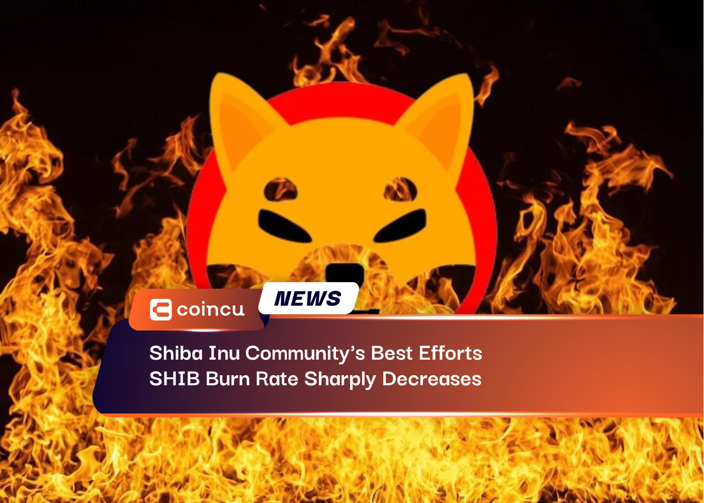 Shiba Inu Community's Best Efforts, SHIB Burn Rate Sharply Decreases