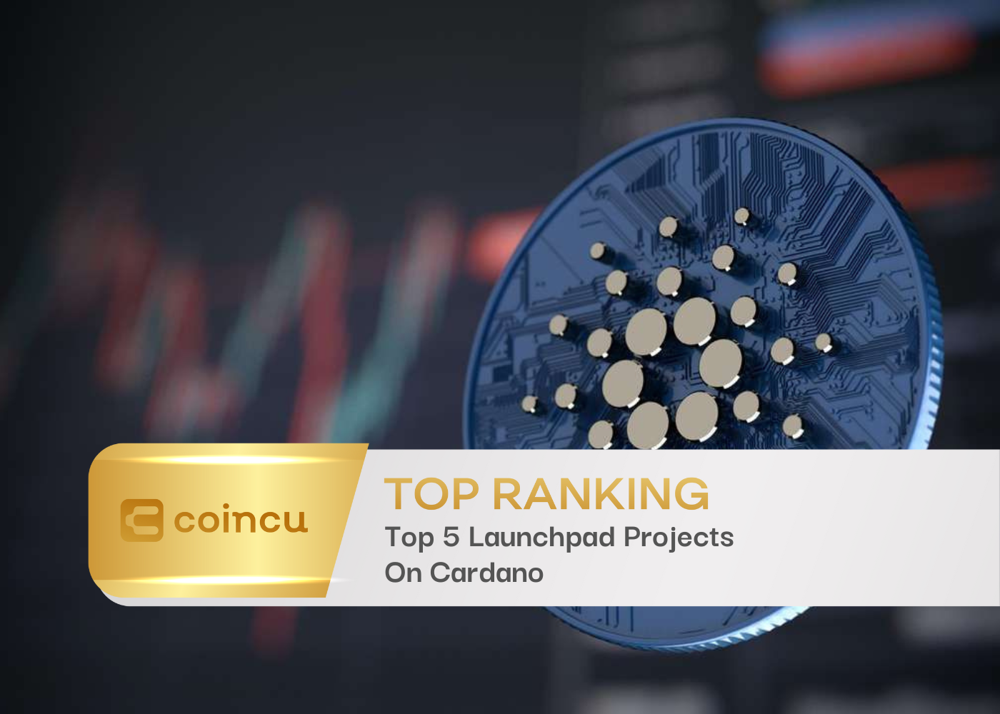 Top Cardano Launchpads in 2026: 5 Platforms Compared