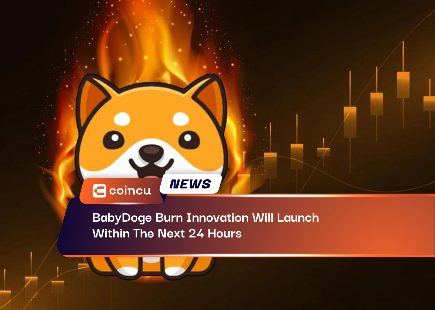 BabyDoge Burn Innovation Will Launch Within The Next 24 Hours