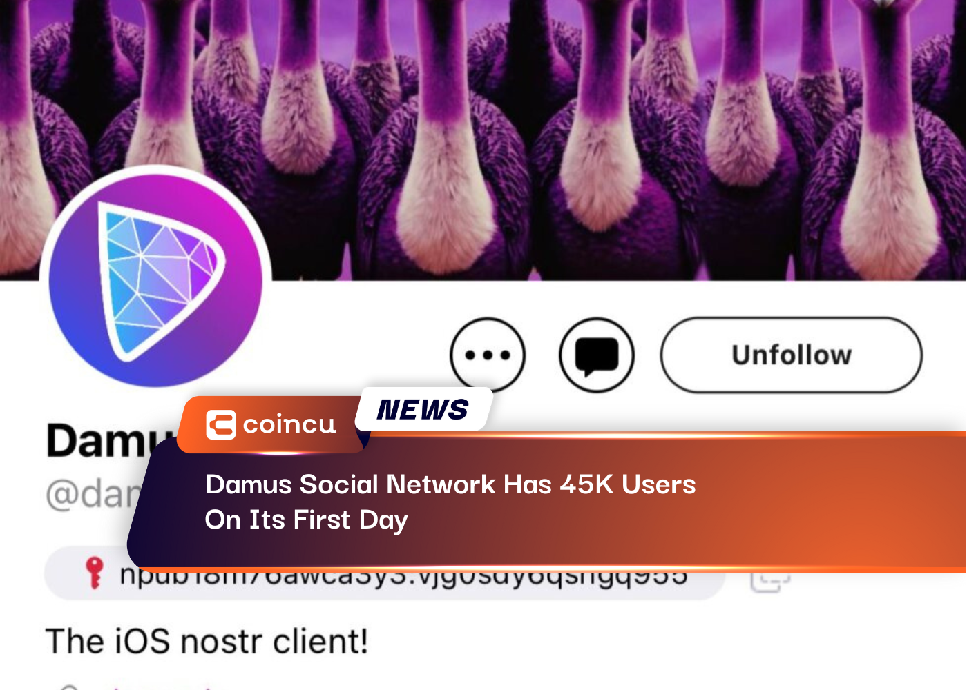 Damus Social Network Has 45K Users On Its First Day