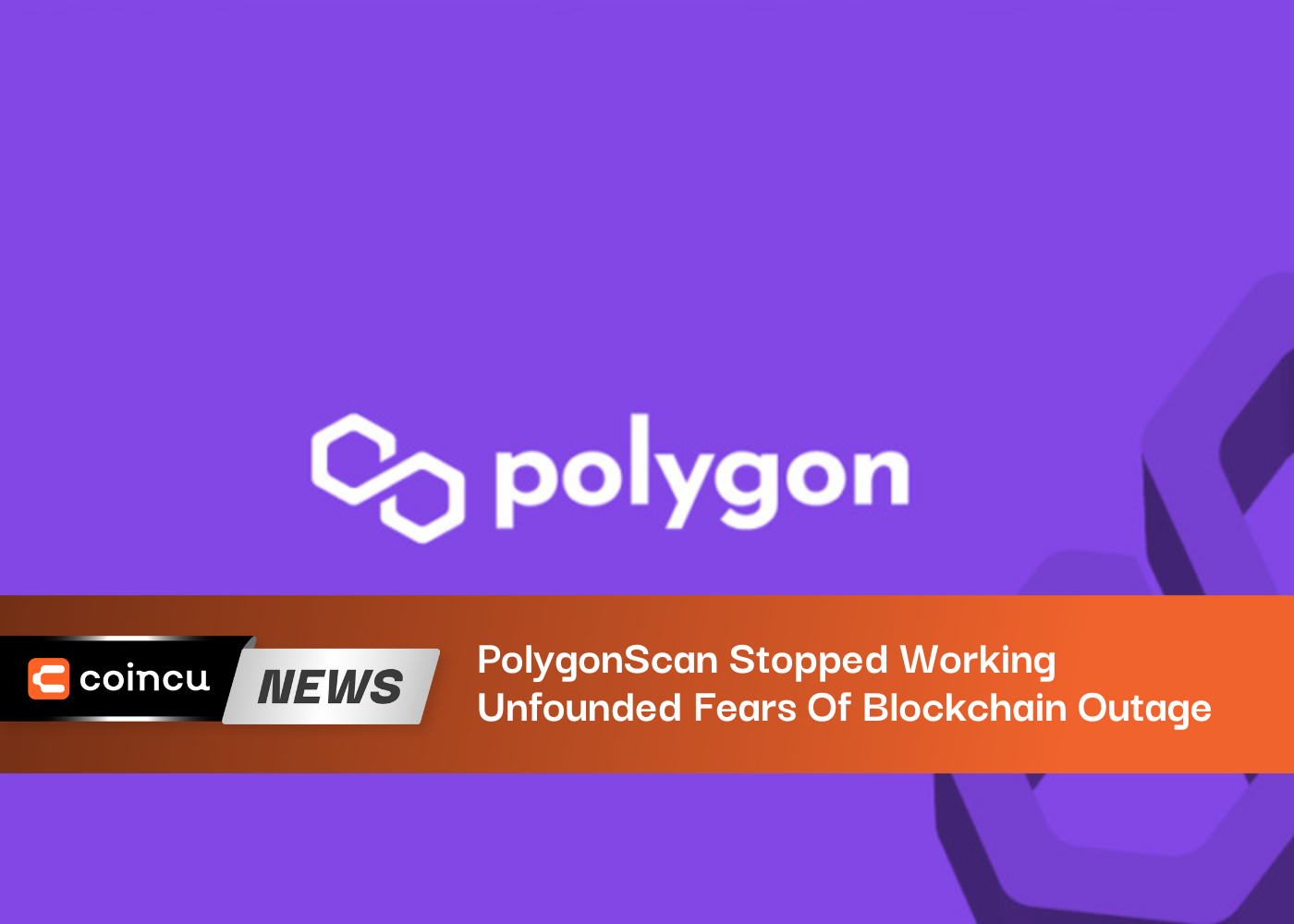 PolygonScan Stopped Working, Unfounded Fears Of Blockchain Outage Were Raised