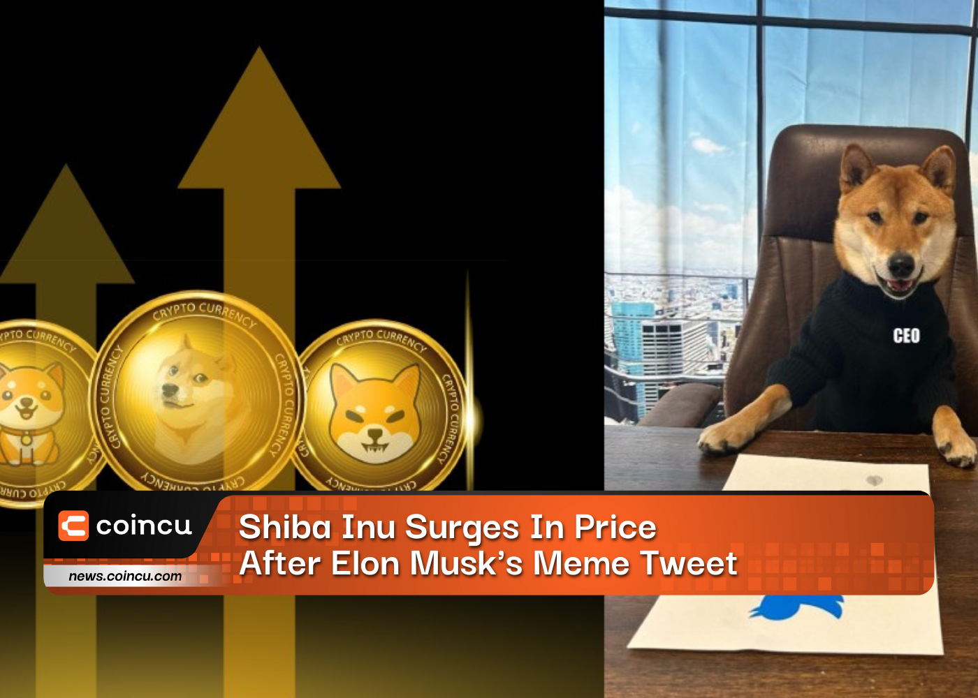 Shiba Inu Surges In Price After Elon Musk's Meme Tweet