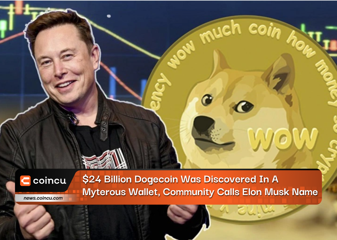 $24 Billion Dogecoin Was Discovered In A Myterous Wallet, Community Calls Elon Musk Name