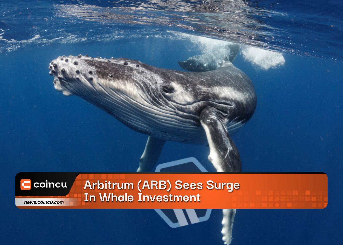 Arbitrum (ARB) Sees Surge In Whale Investment, Boosting Market Confidence