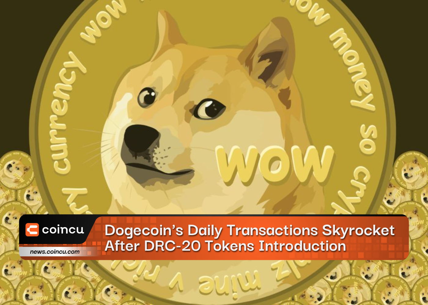 Dogecoin's Daily Transactions Skyrocket After DRC-20 Tokens Introduction