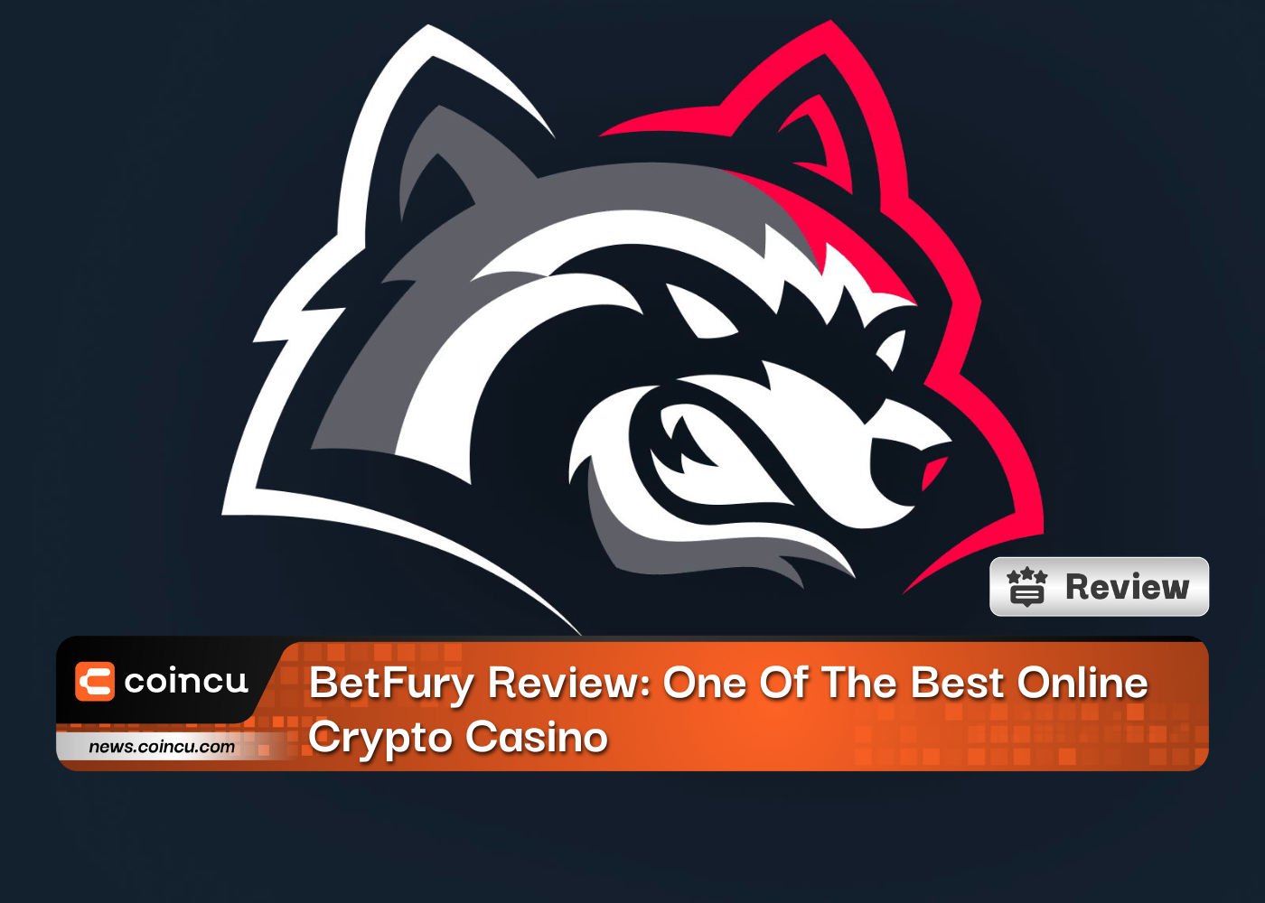 BetFury Review: One Of The Best Online Crypto Casino