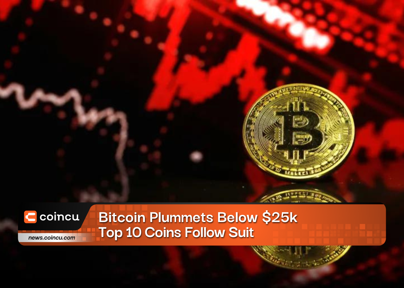 Bitcoin Plummets Below $25k, Top 10 Coins Follow Suit