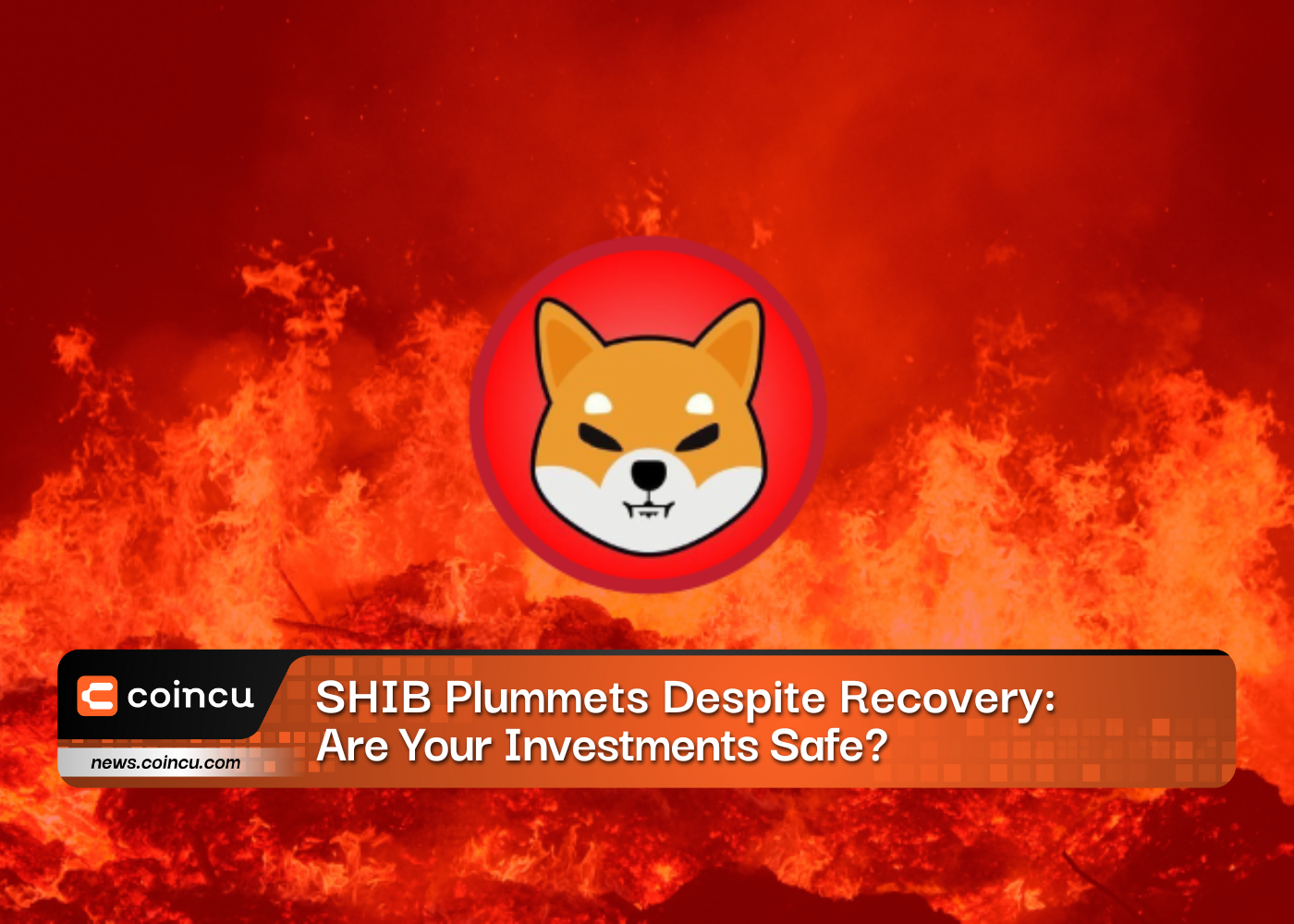 Breaking News: SHIB Plummets Despite Recovery: Are Your Investments Safe?