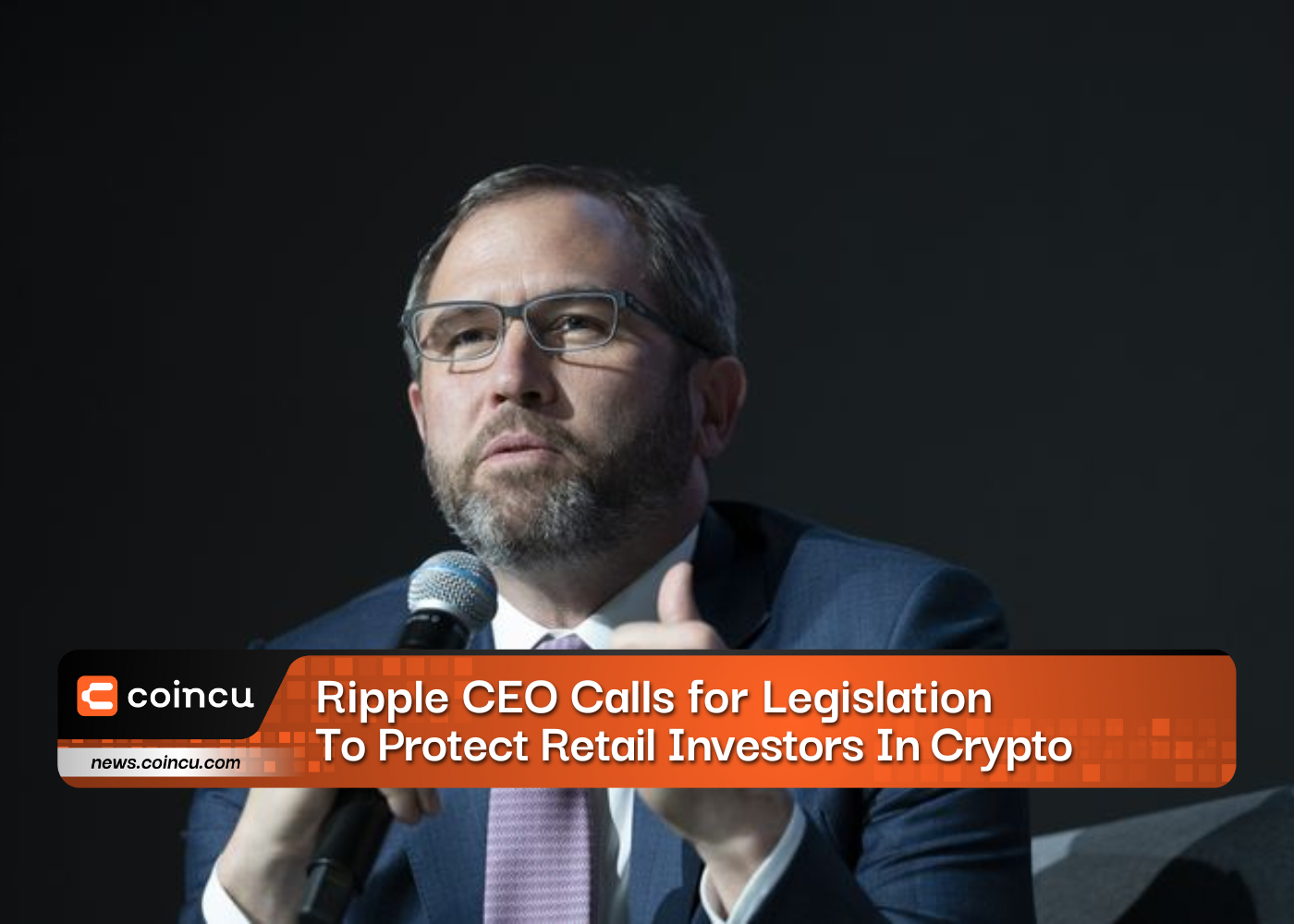 Ripple CEO Calls for Legislation To Protect Retail Investors In Crypto