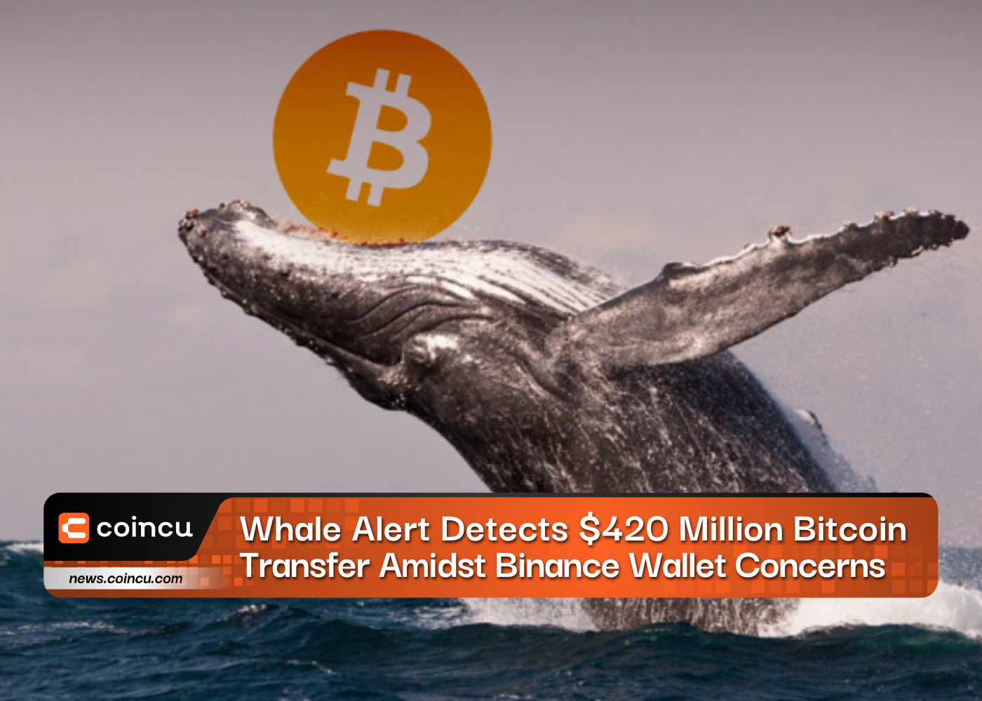 Whale Alert Detects $420 Million Bitcoin Transfer Amidst Binance Wallet Concerns