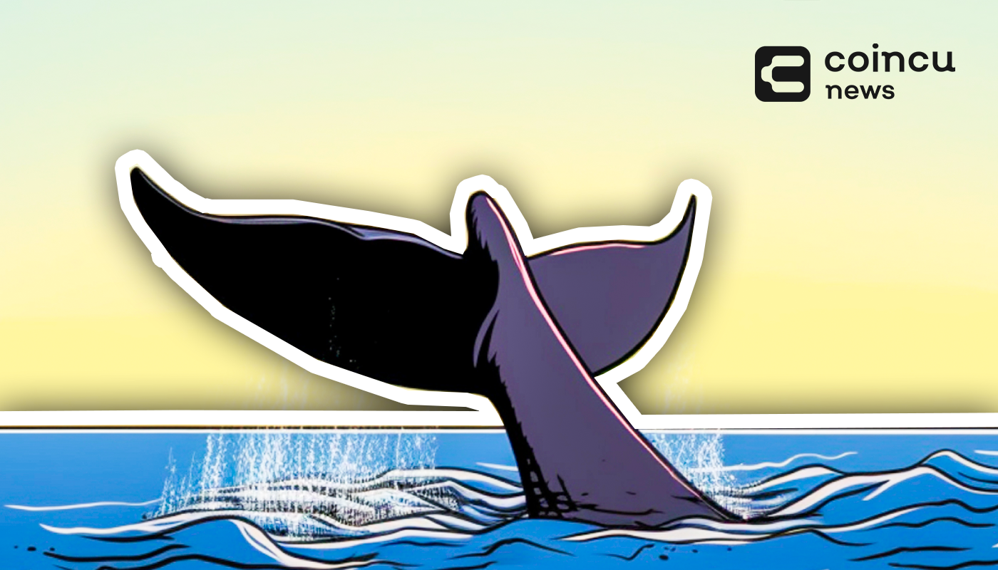 Arbitrum-Defies-DeFi-Turbulence-Whales-Remain-Optimistic-Amidst-Market-Swings