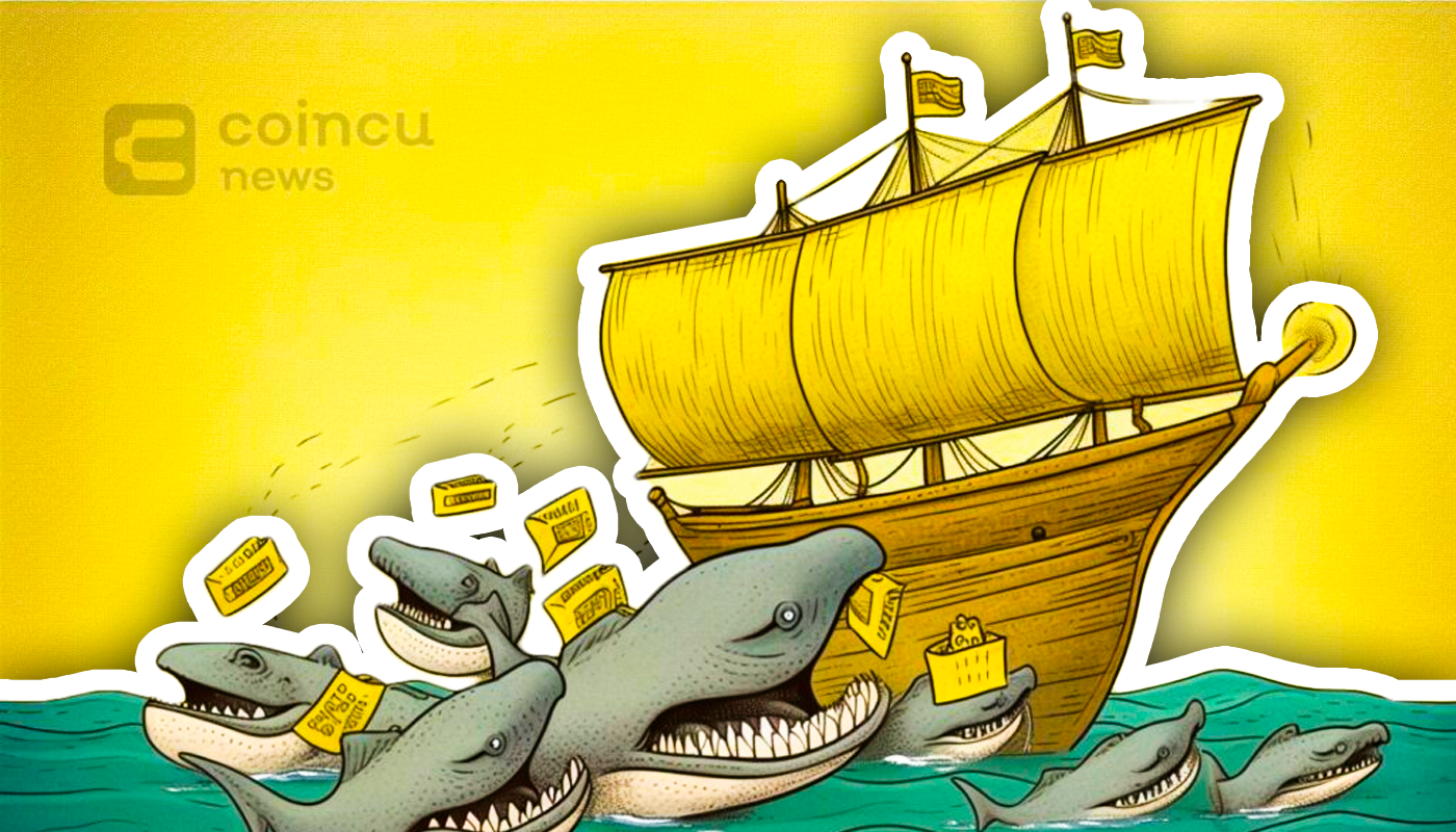 Whale-Alert-35-New-LINK-Wallets-Withdraw-Millions-From-Binance