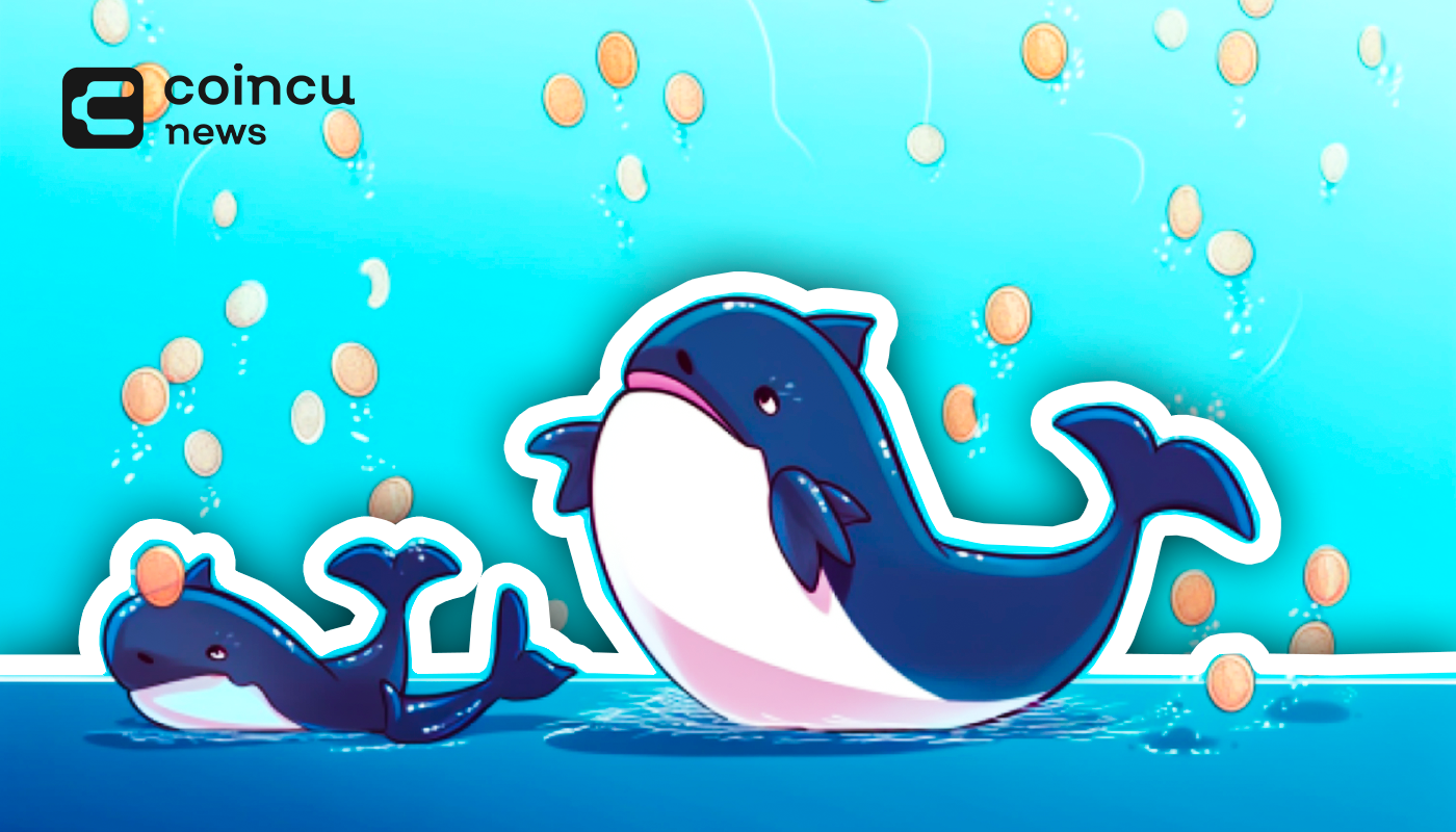 Whale Resumes Ethereum Accumulation as Price Bounces Back!