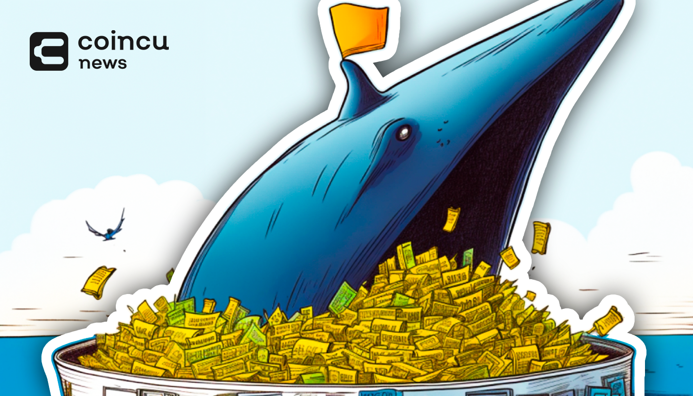 ARB Whale Banks $73K as Wintermute Pours $870K into Binance