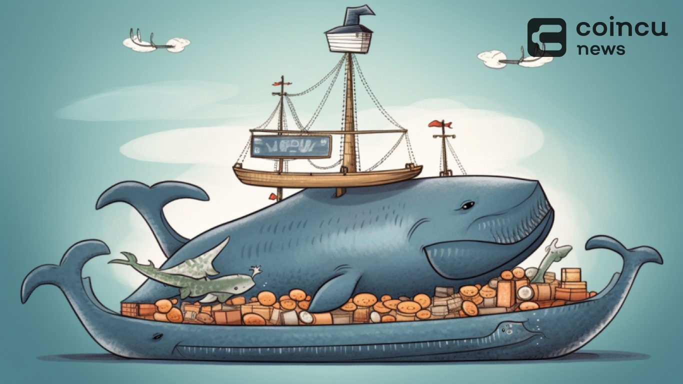 Bitfinex Whales Ramp Up Long Positions, Adding 6,165 BTC in a Month!