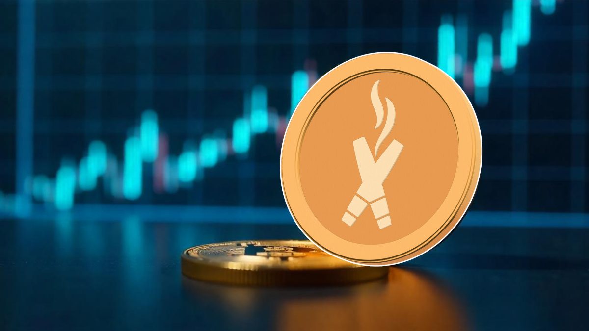 Best Crypto to Buy Now: Investing in DexBoss— What You Should Know About $DEBO’s Long-Term Potential!!